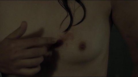 Sonia Suhl - Sex Scenes in When Animals Dream (2014)