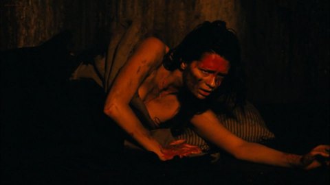 Mischa Barton - Sex Scenes in Walled In (2009)